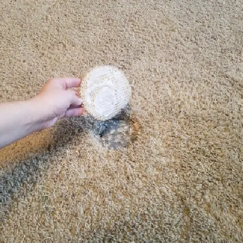 Carpet Hole Repair Werribee